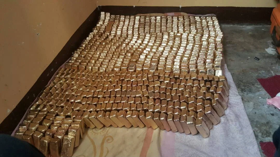 Gold bars arranged for inventory and purity review