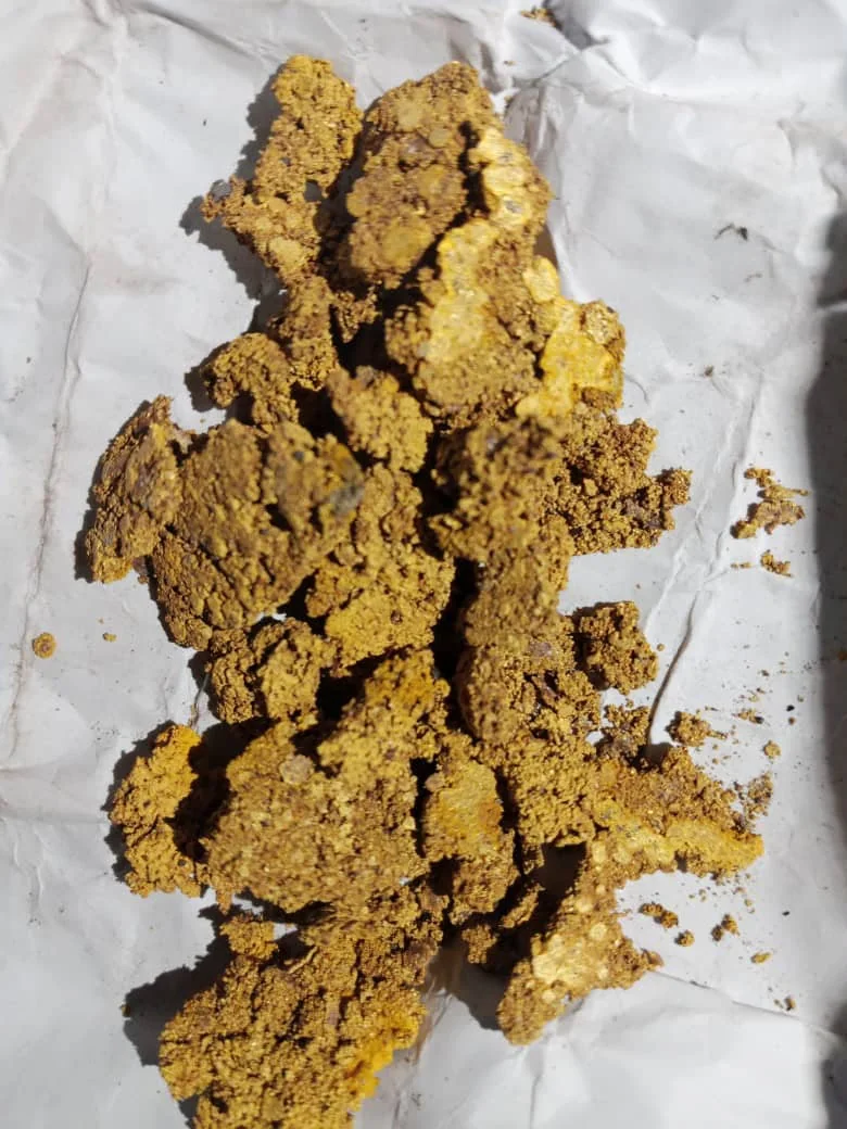 Gold-bearing material used as a reference in the precious-metals glossary